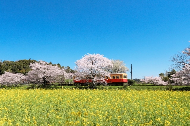 田舎