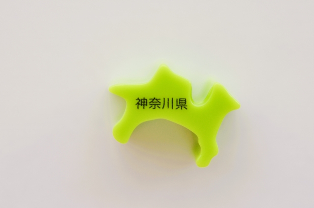 神奈川県
